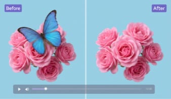 remove object from video