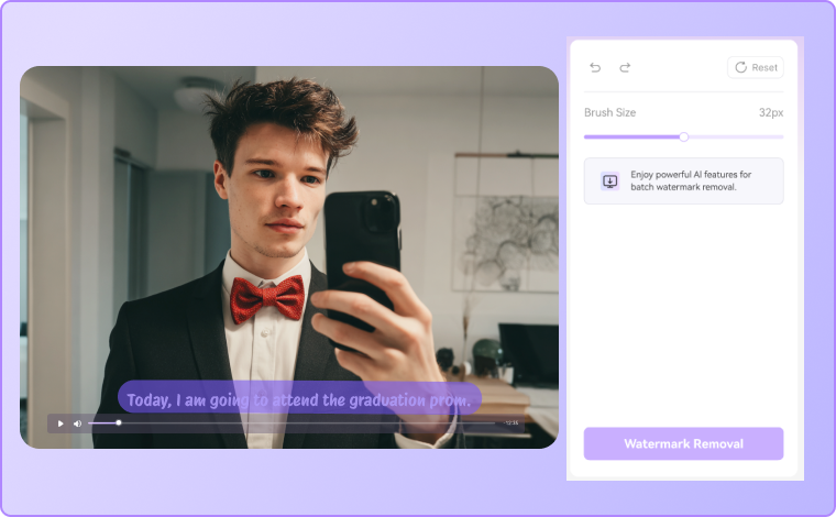 select the subtitle area in the online subtitle remover