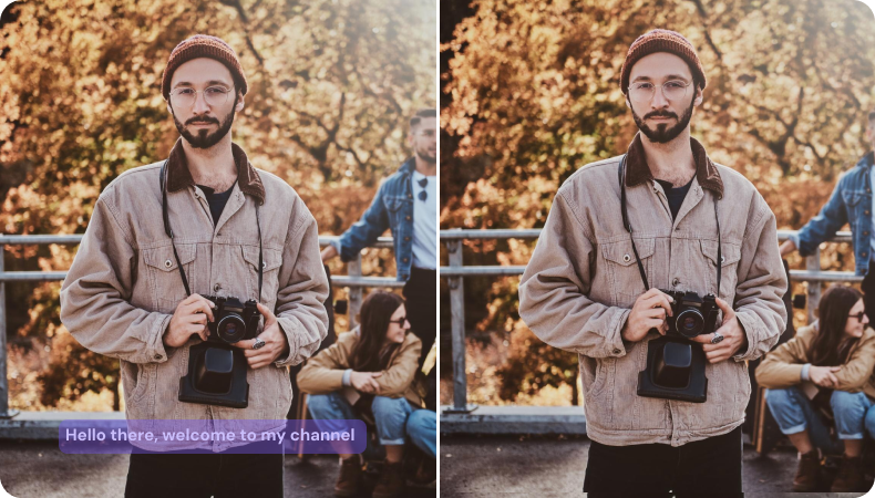 remove subtitles from video