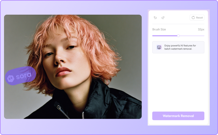 select sora watermark area and start ai processing