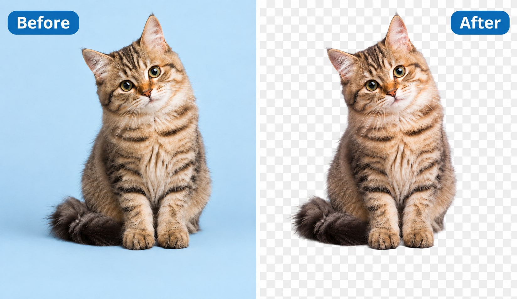 instagram watermark remover