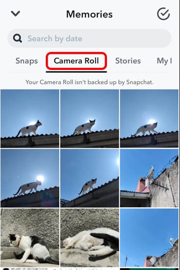 select a file on the camera roll