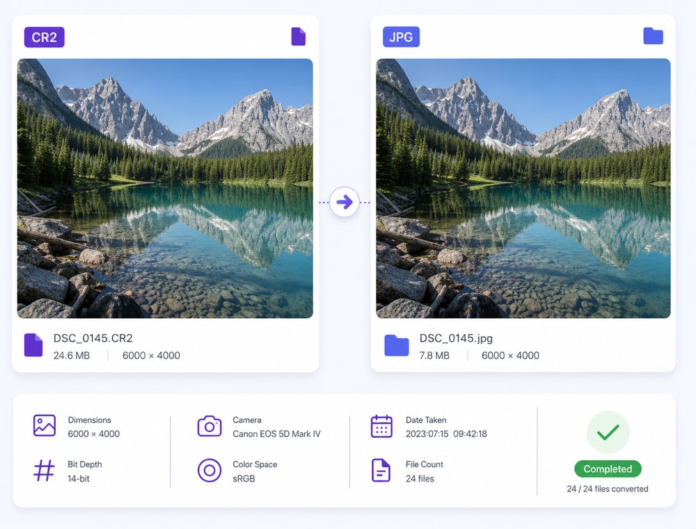 Create Delivery Copies Without Replacing RAW Sources