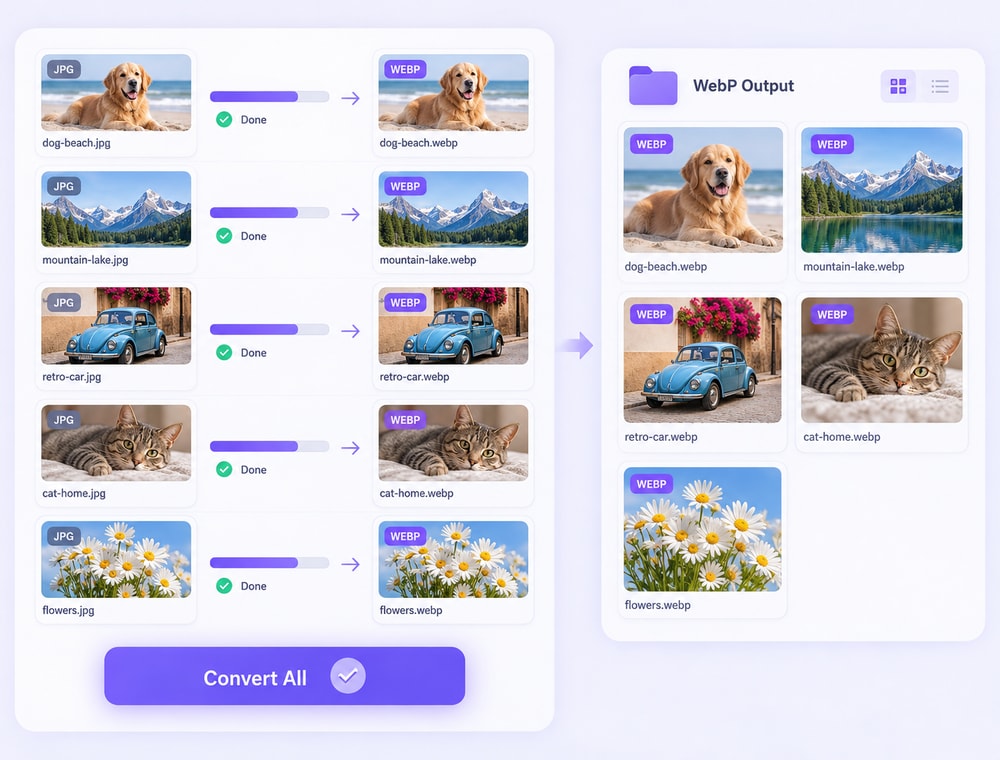Create WebP Copies from Supported Image Collections