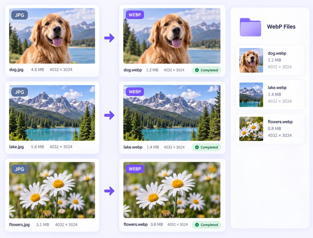 Prepare WebP files for modern web delivery
