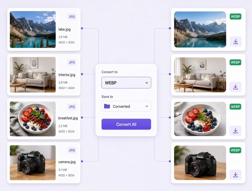 Set WebP output once for the collection