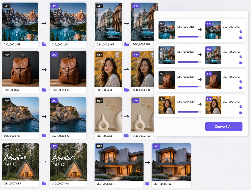 Organize a Nikon photo collection before conversion