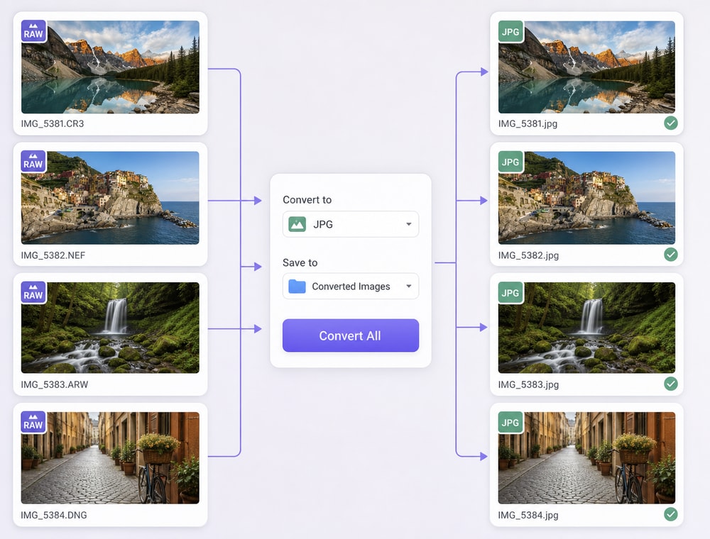 Set Shared JPG Output and a Save Location