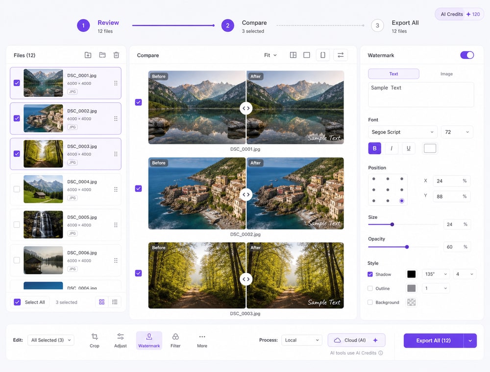 Review Placement and Export All