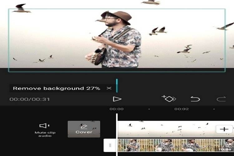 video background remover app for android