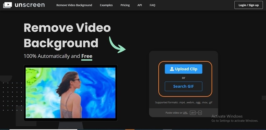 online video background remover