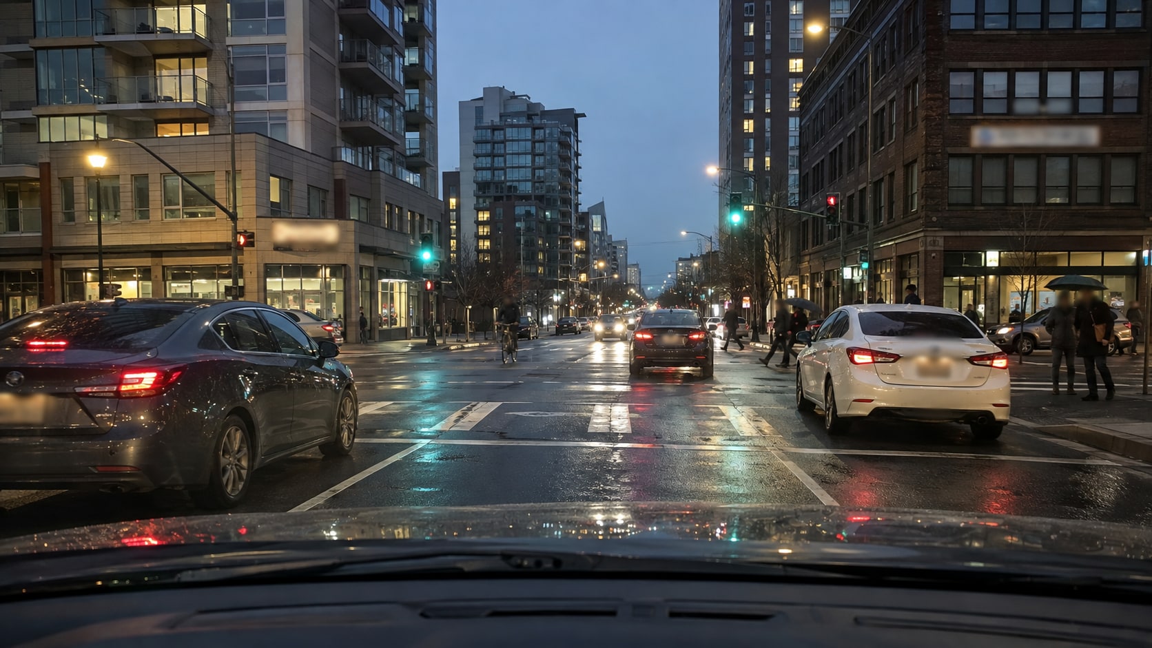 video blurring software concealing faces and plates in dashcam footage