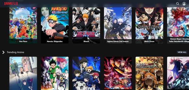 animeflix interface