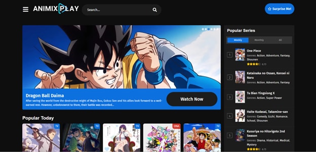 animixplay interface