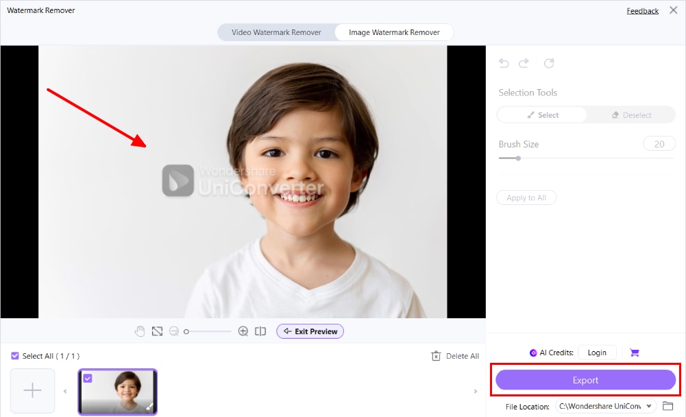 preview and export