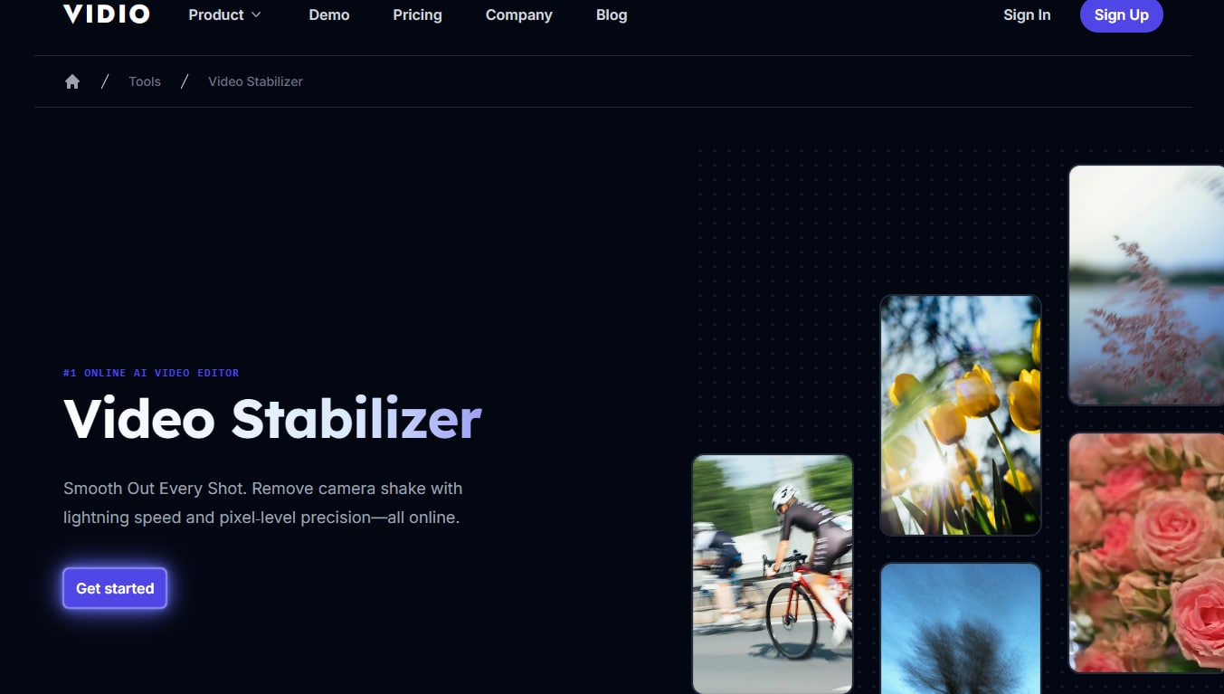vidio ai stabilizer