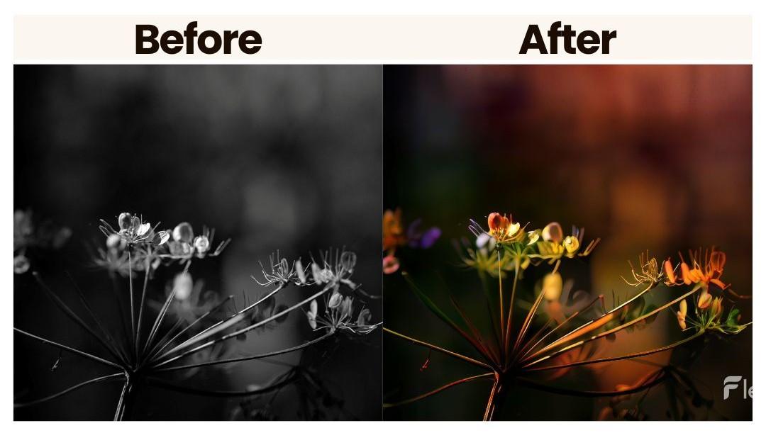flexclip picture colorization