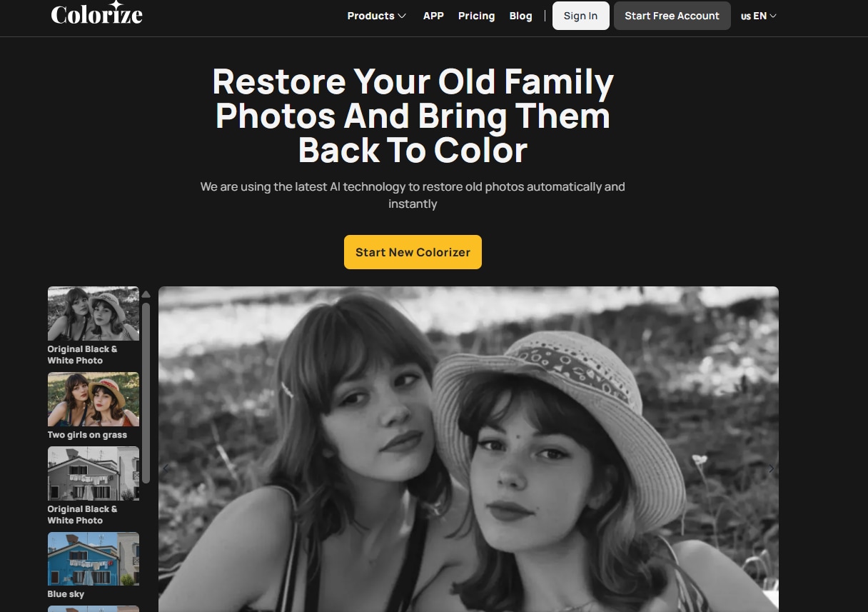 imagecolorizer homepage