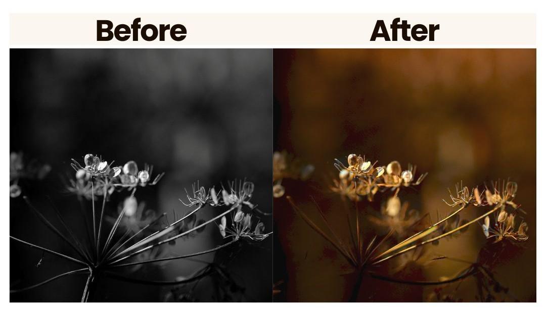 media.io picture colorization