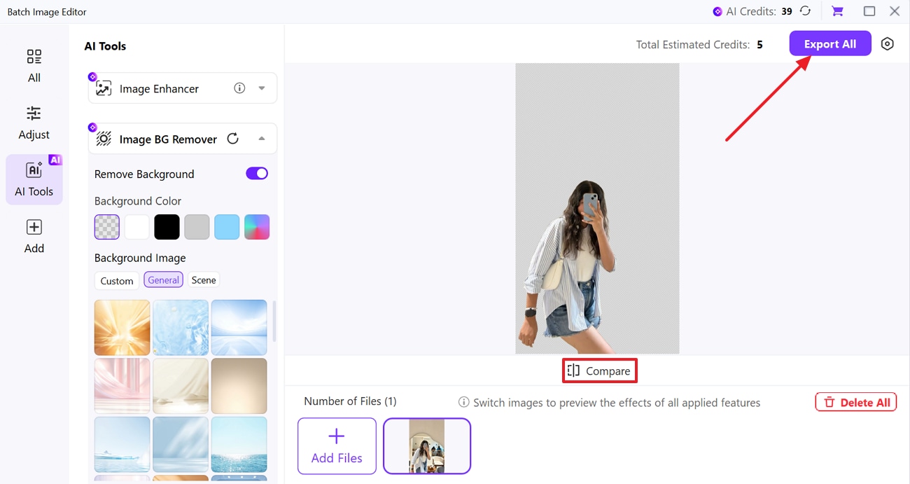 image composition review and export