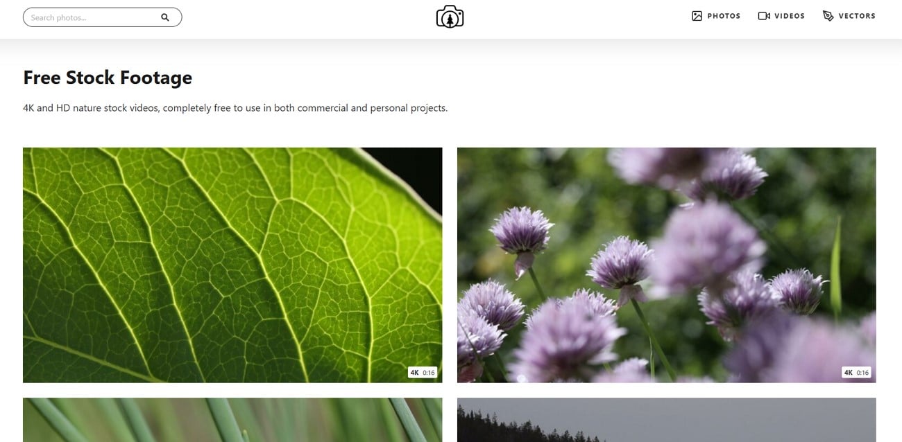 site free video free nature stock