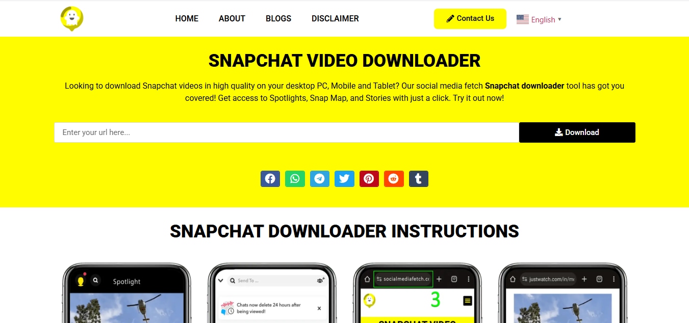 socialmediafetch.com interface