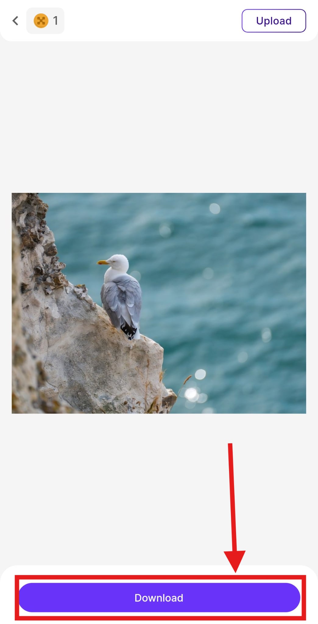 export or download the upscaled image quickly