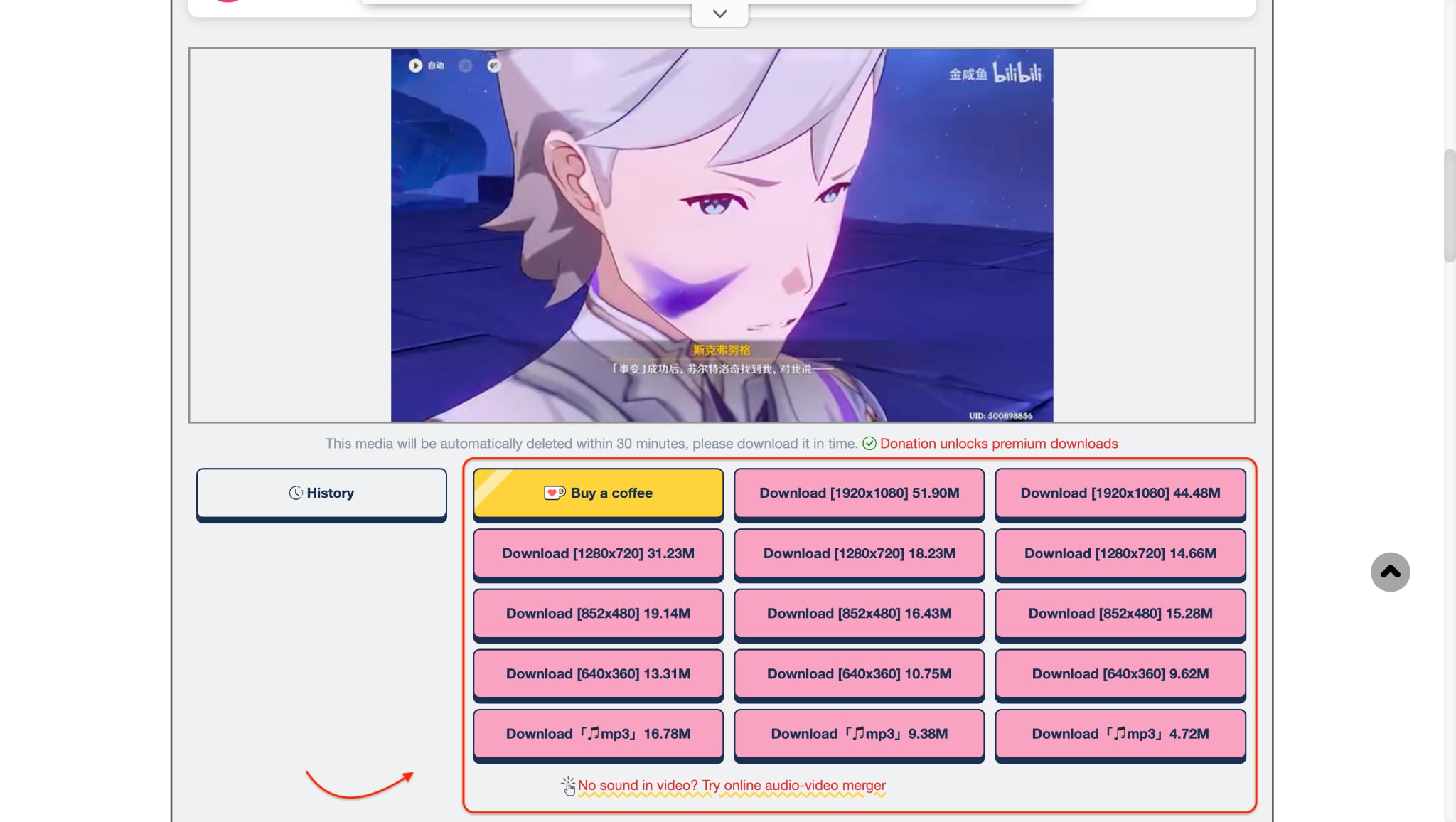 download in preferred format