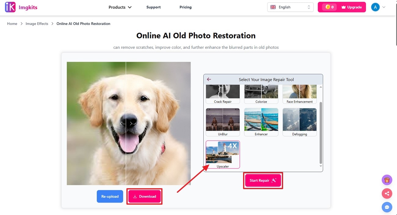 start repair and download results