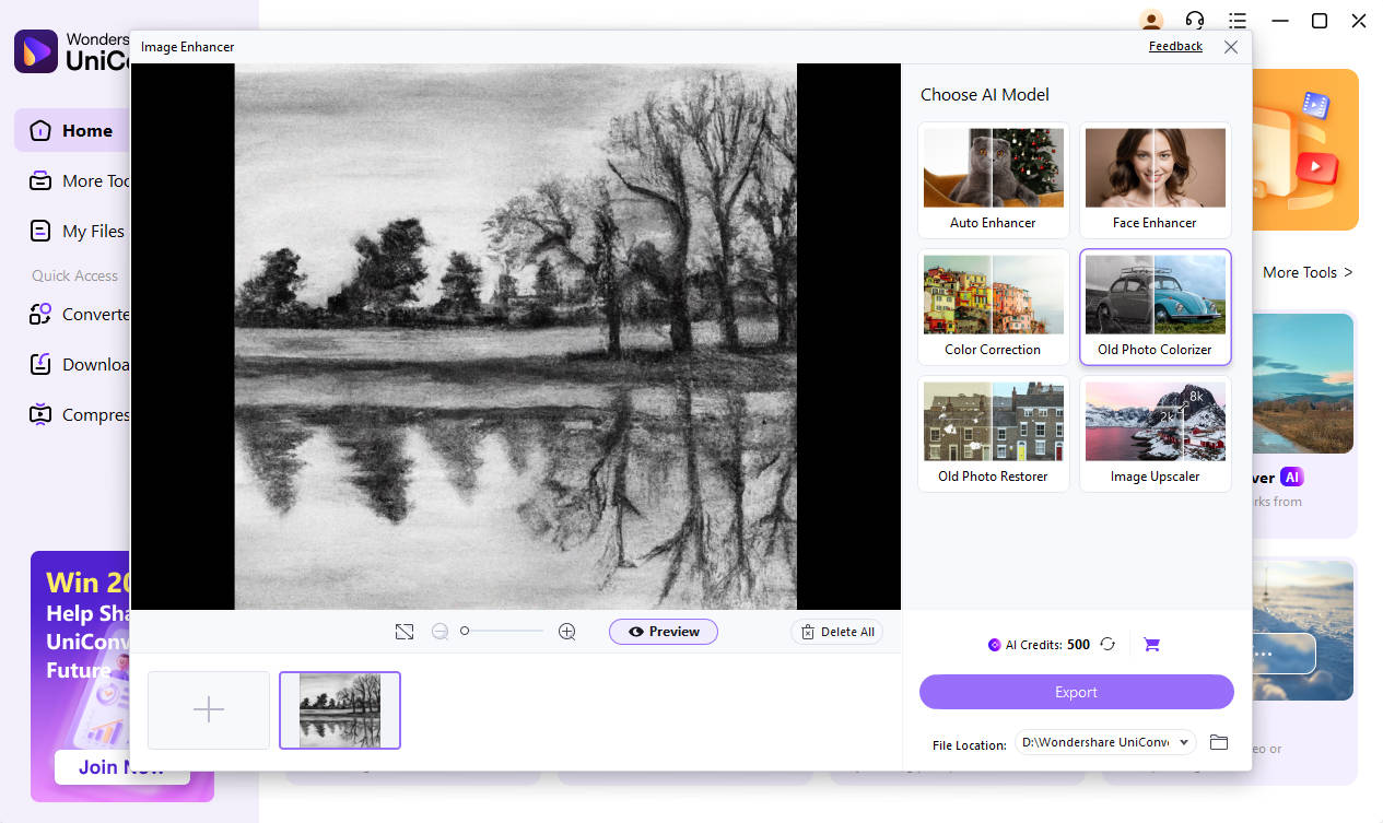 apply old photo colorizer