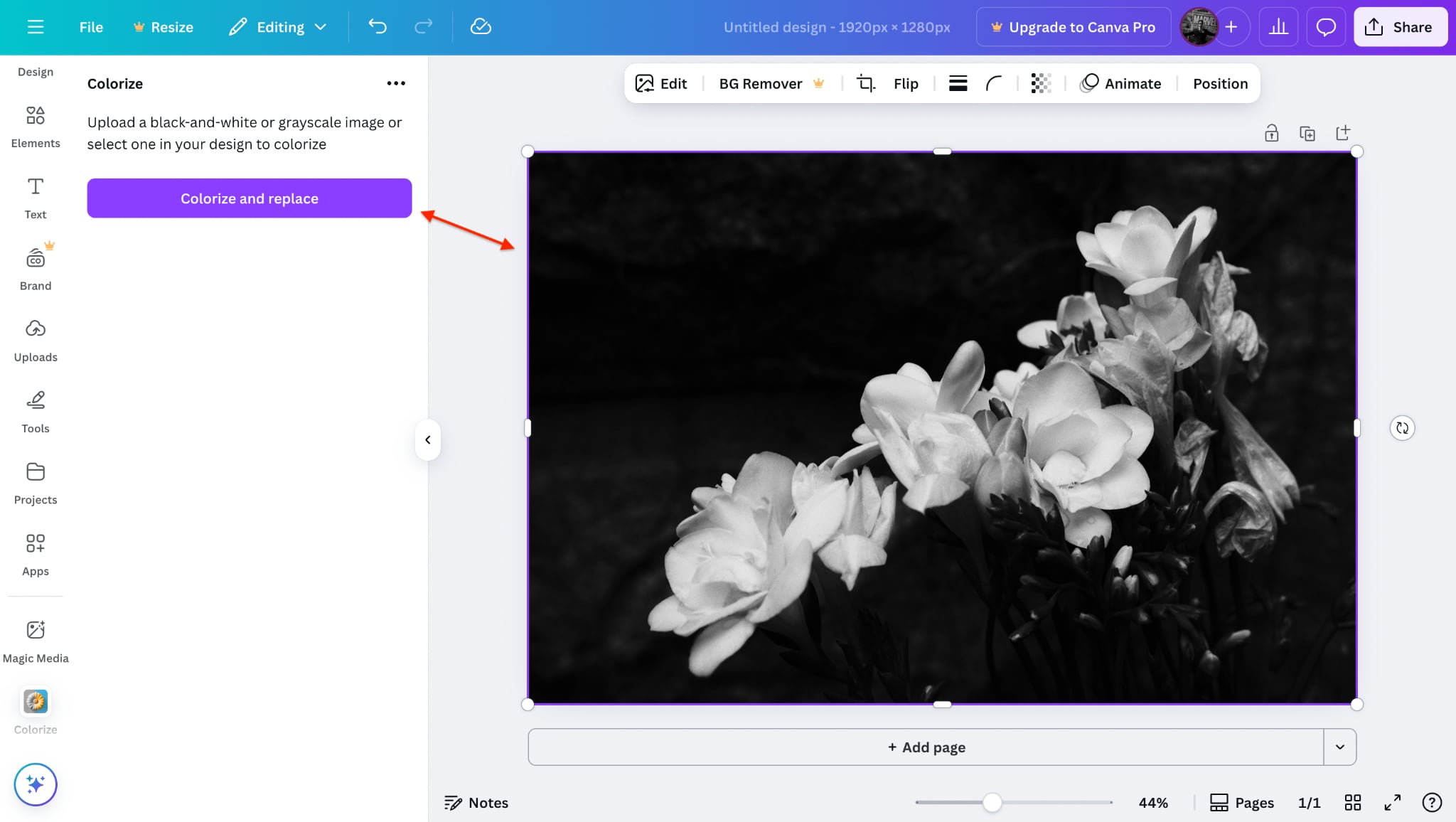 use colorize option