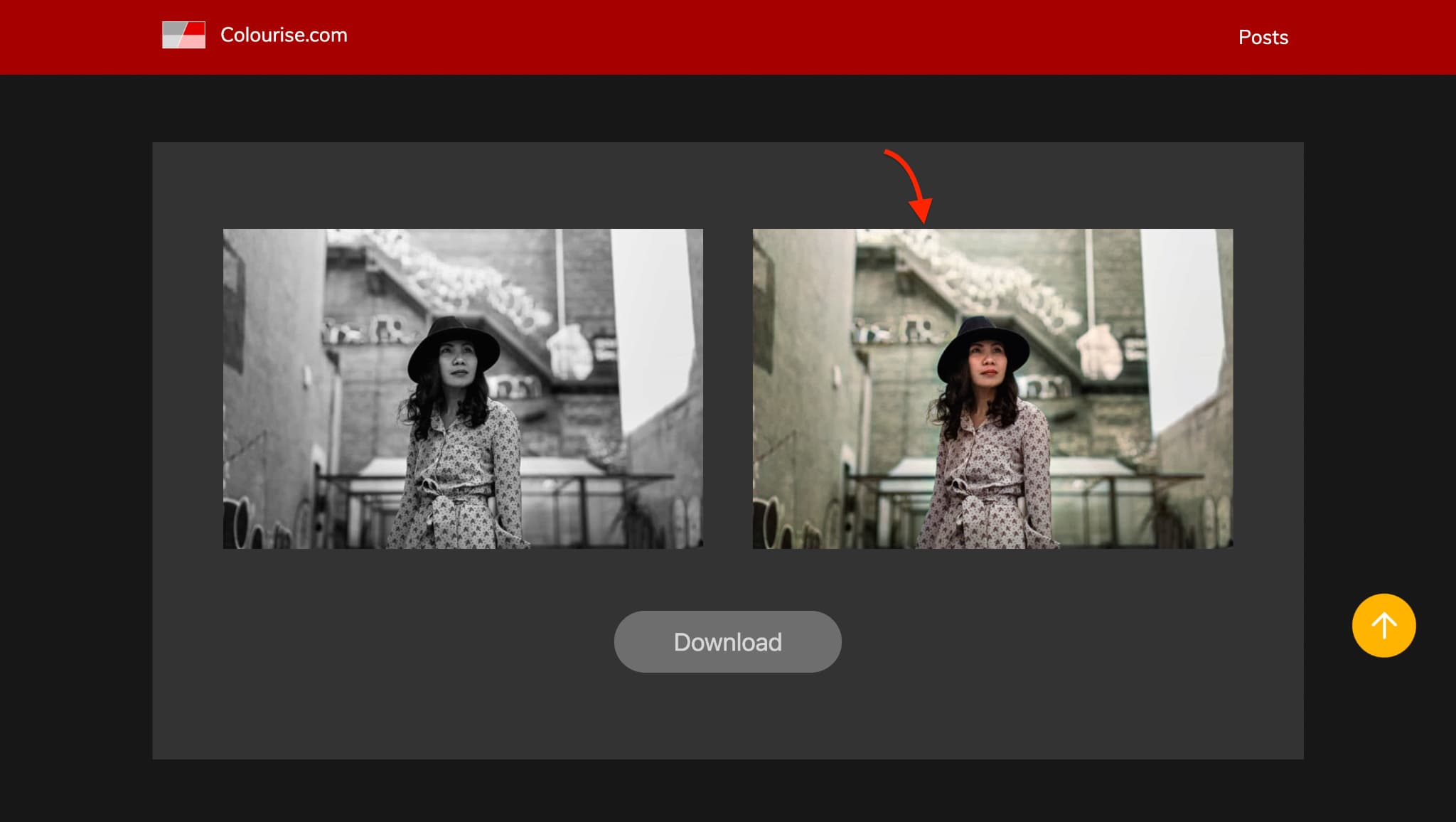 colorizing the image