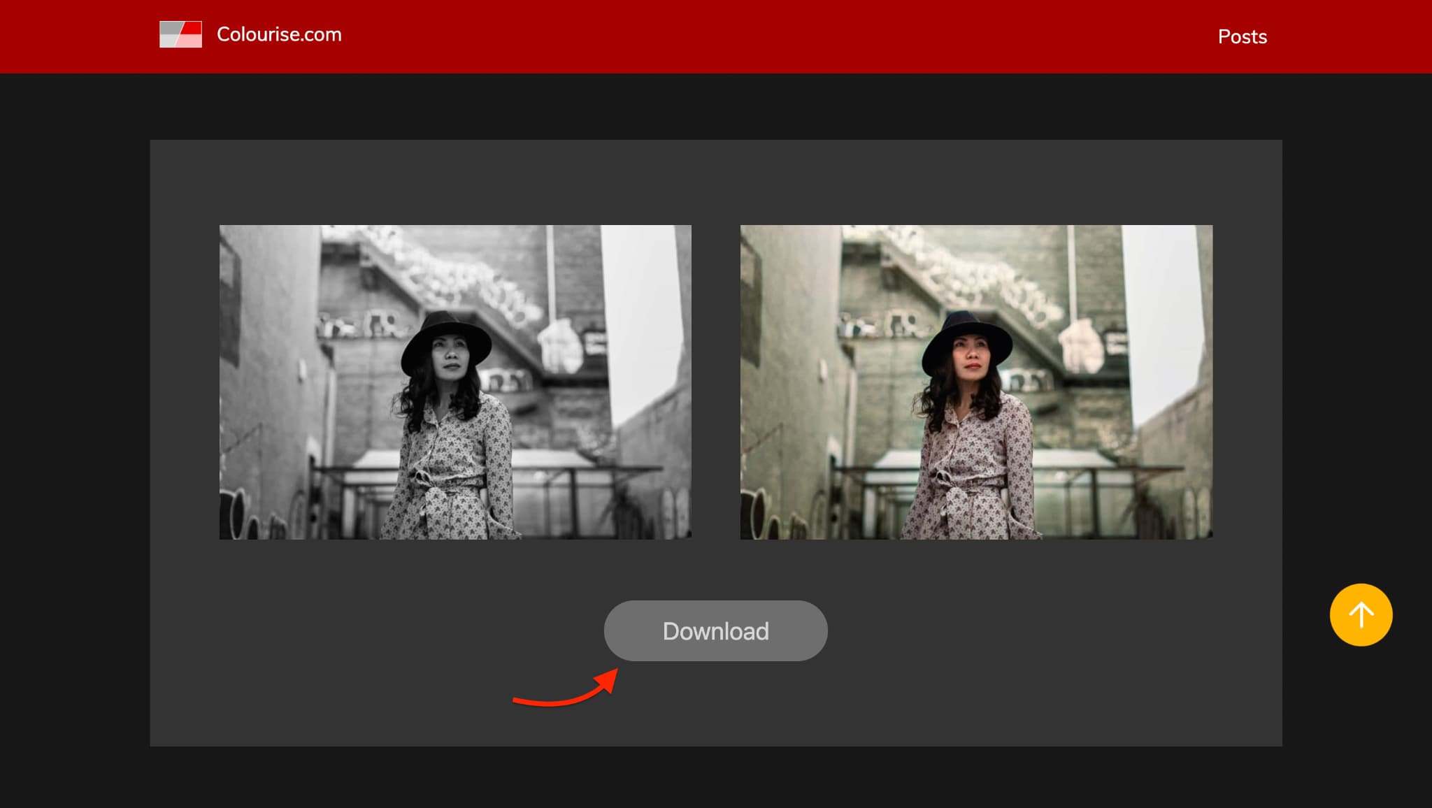 download colorize photo