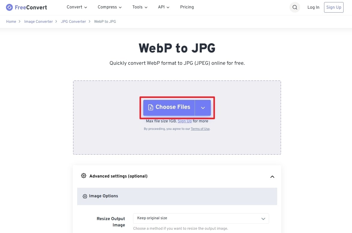 choose webp image files