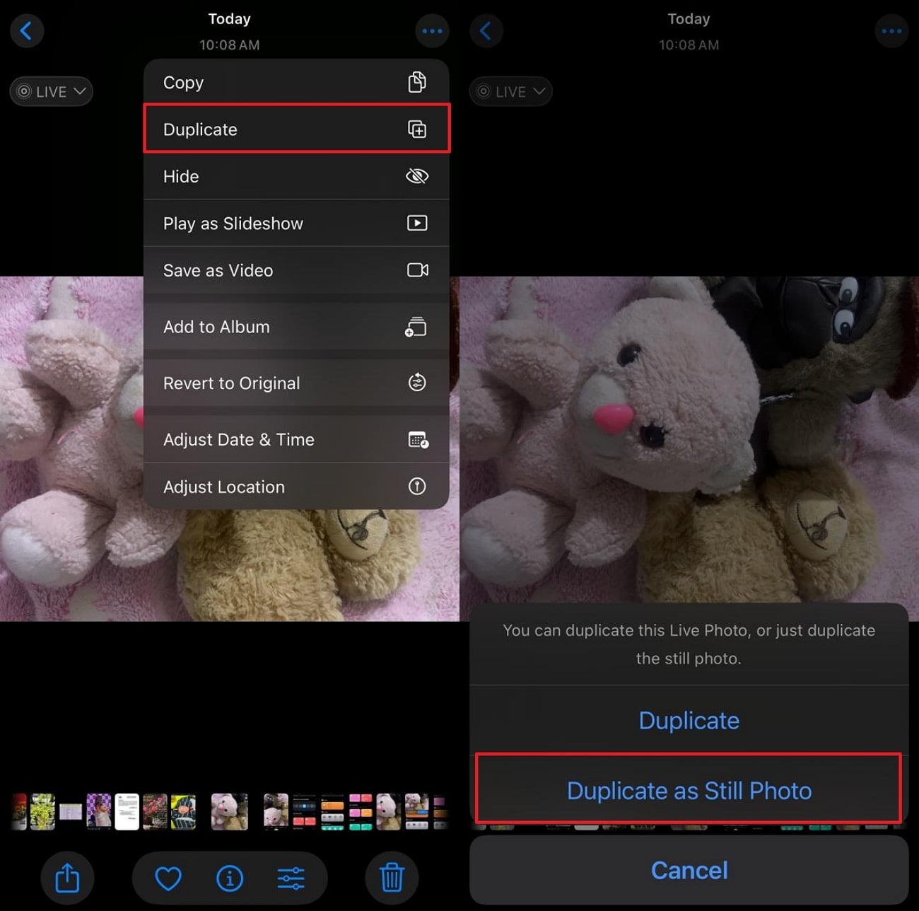 choose duplicate a still photo