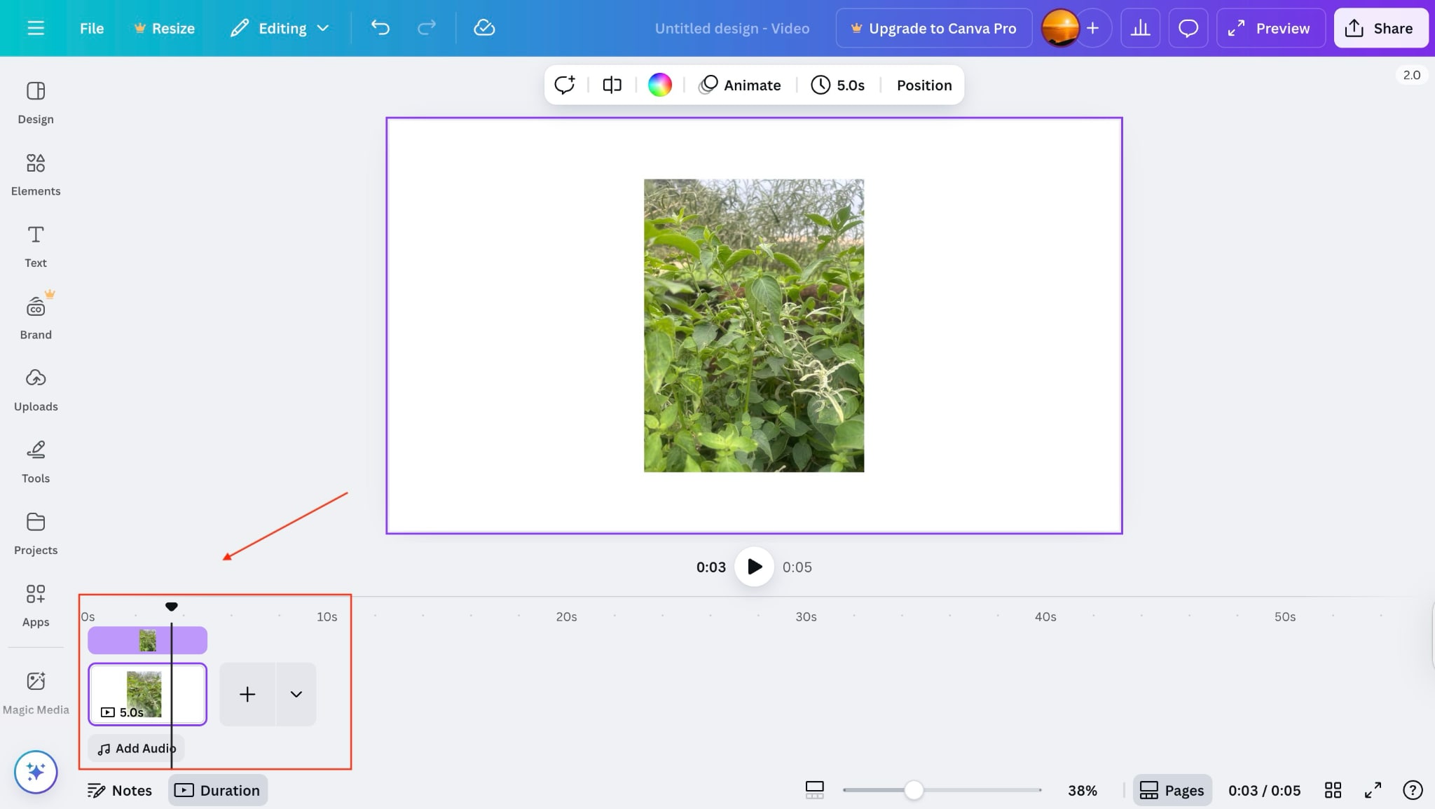 canva add audio