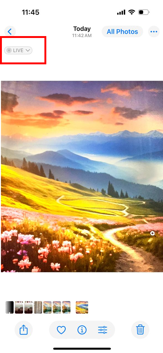 '라이브' 옵션 누르기