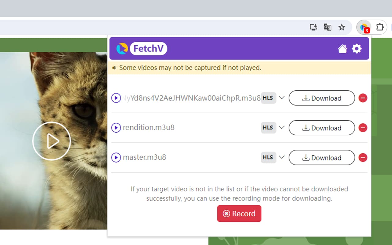 FetchV 확장 프로그램 소개 페이지