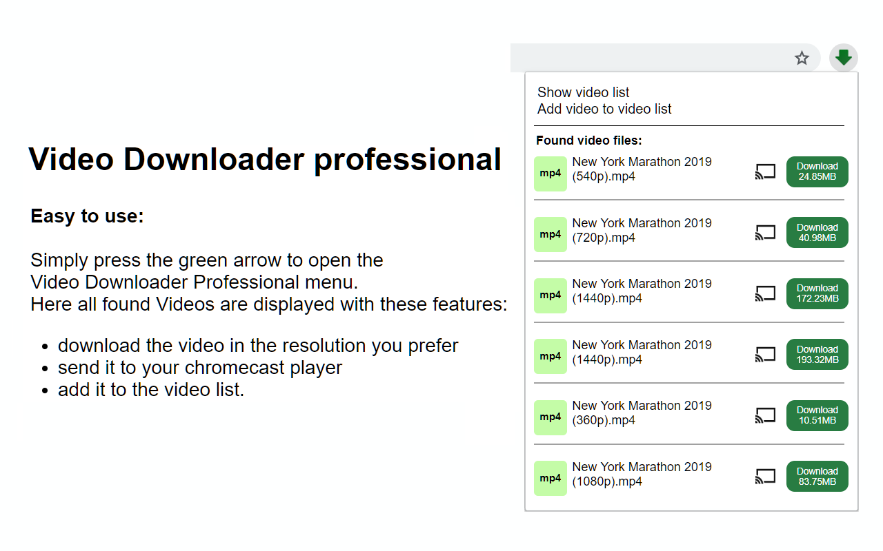 Video Downloader Professional 홈 화면
