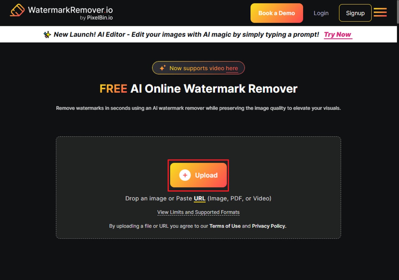 upload video watermarkremover