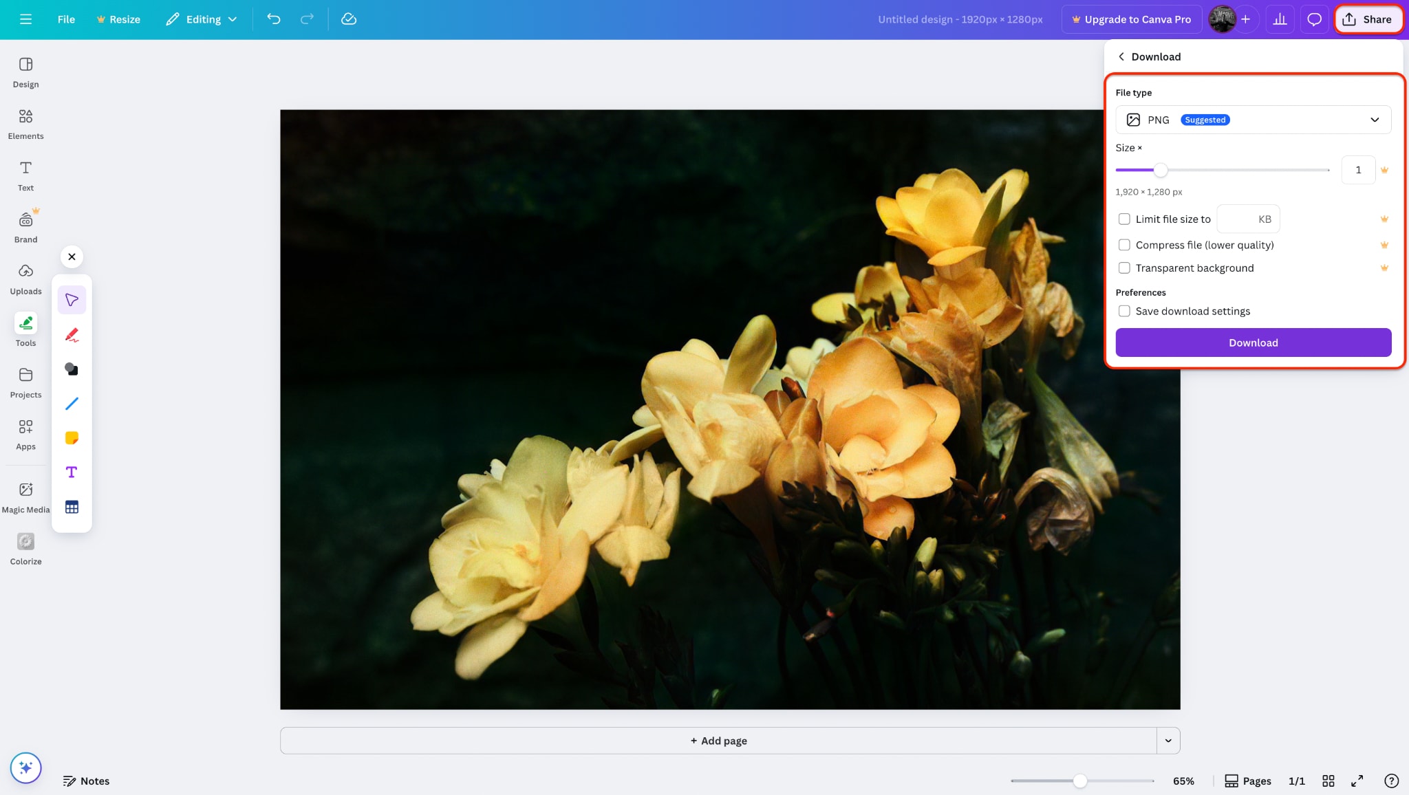 choose your preferred settings and hit the download button