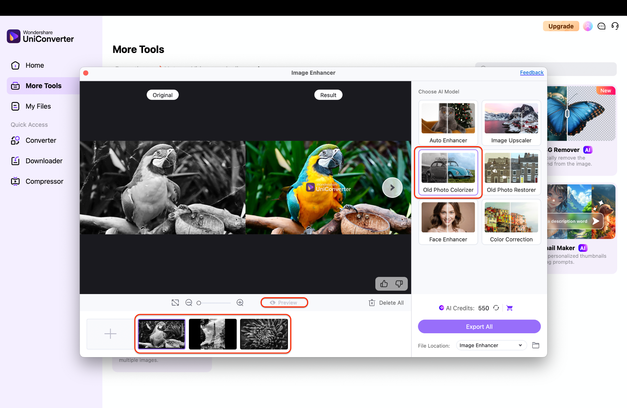 select old photo colorizer