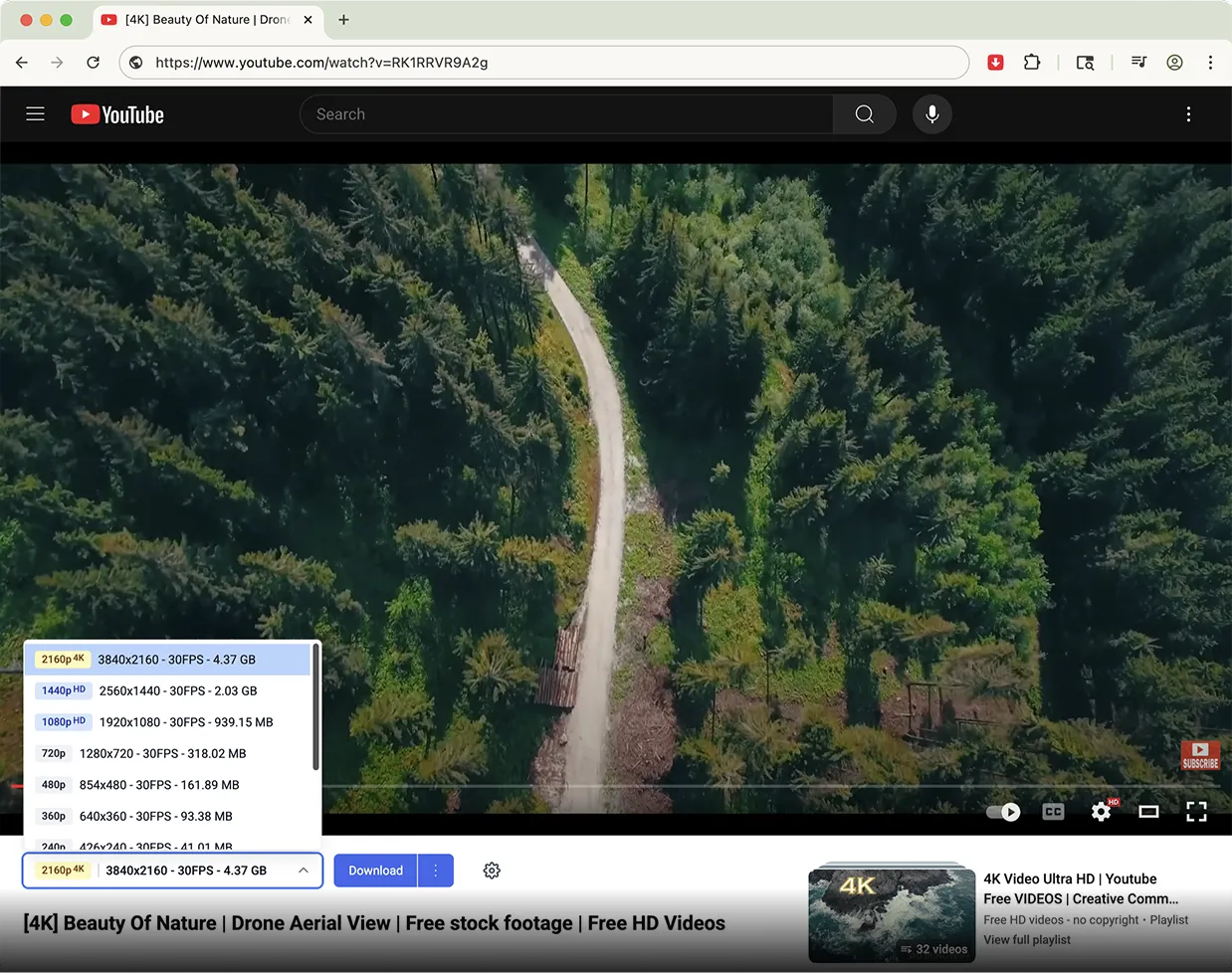tubly downloader interface