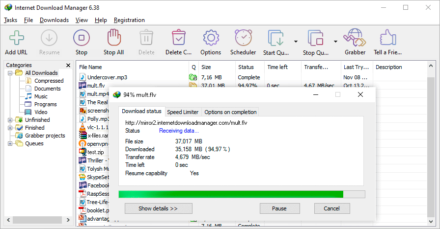 internet download manager interface
