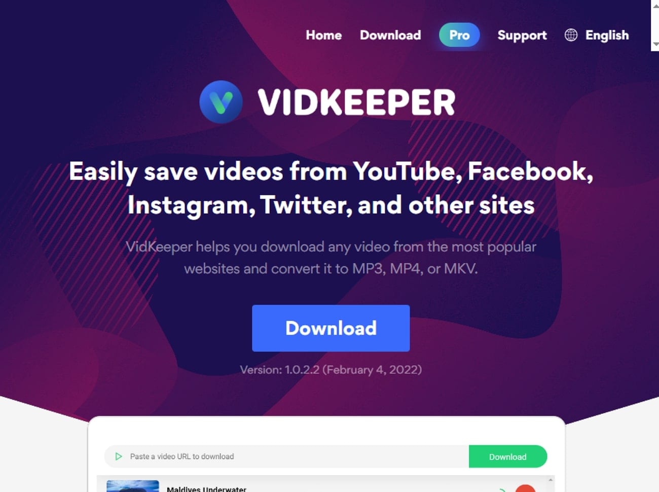 vidkeeper downloader