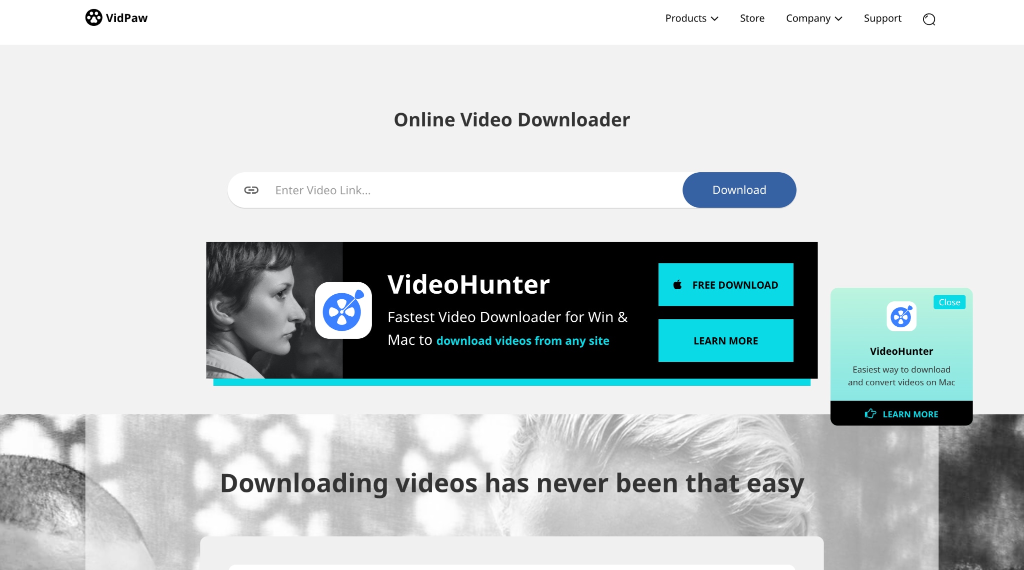 vidpaw video downloader homepage
