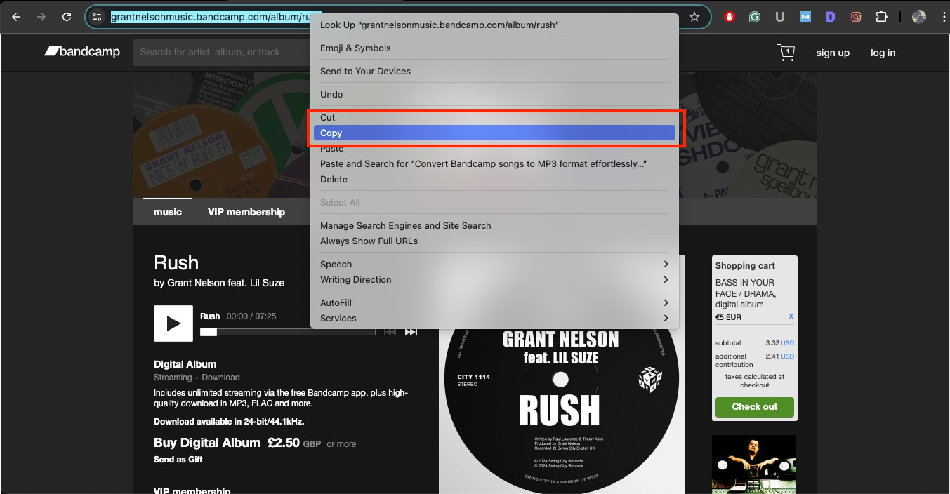bandcamp album downloader copy link