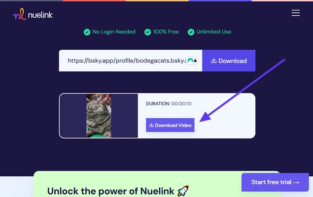 export bluesky to mp4 converter file