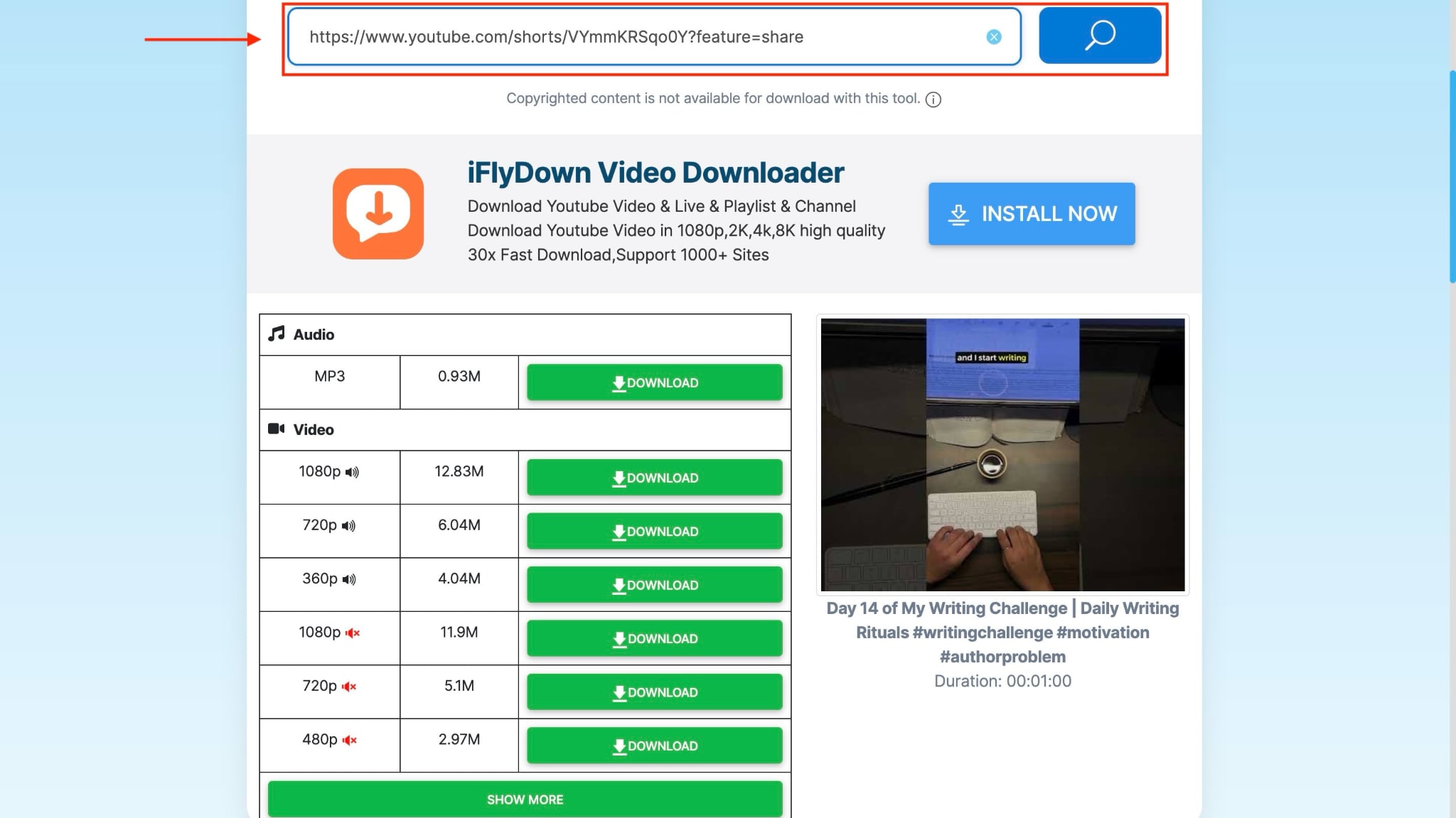 youtube downloader paste link