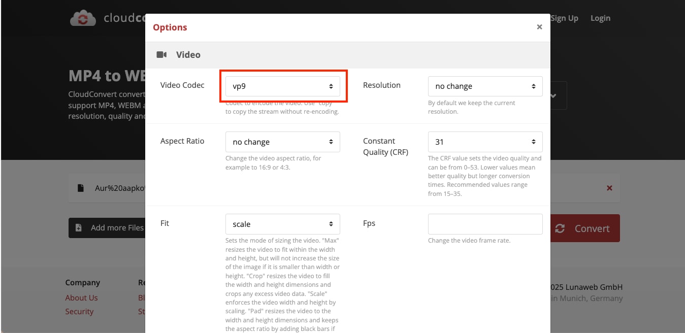 cloudconvert choose vp9